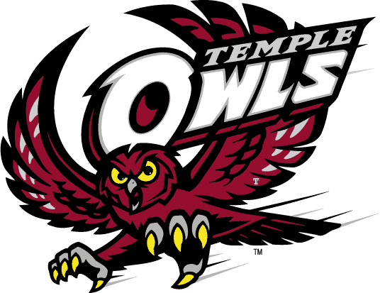 Temple Owls iron ons